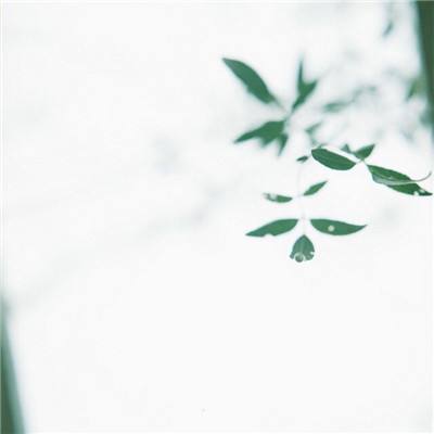 口袋暴龙破解版下载